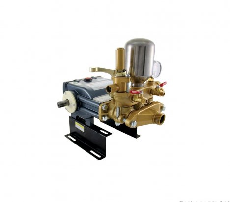 Master LN-28 Cheng Ni An Sprayer Pump 1
