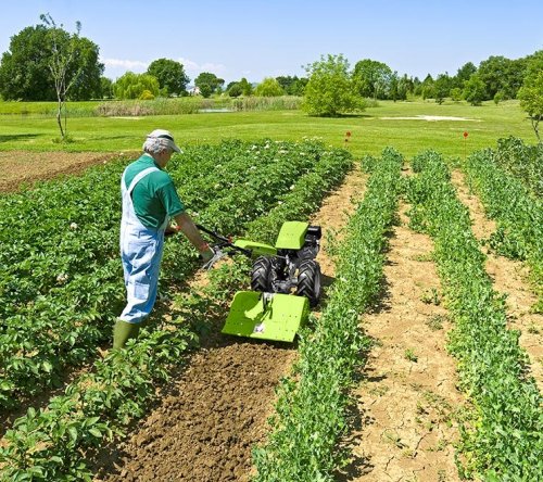Grillo G 55 Petrol Cultivator 3