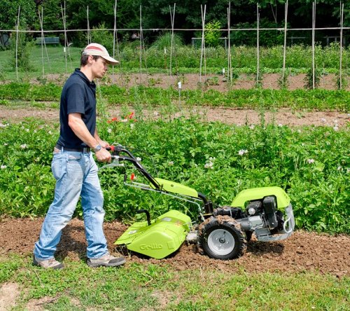 Grillo G 55 Petrol Cultivator 2