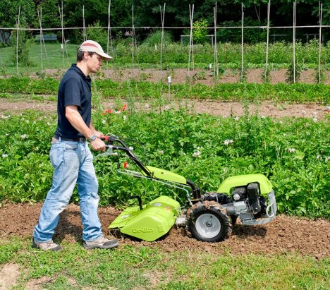 Grillo G 55 Petrol Cultivator 2