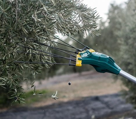 Zanon Falcon 12V/AL-300 Τηλεσκοπικό Ελαιοραβδιστικό Μπαταρίας 7