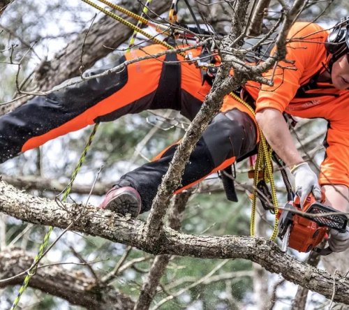Husqvarna T525 Petrol pruning chainsaw Carving 25cm 3