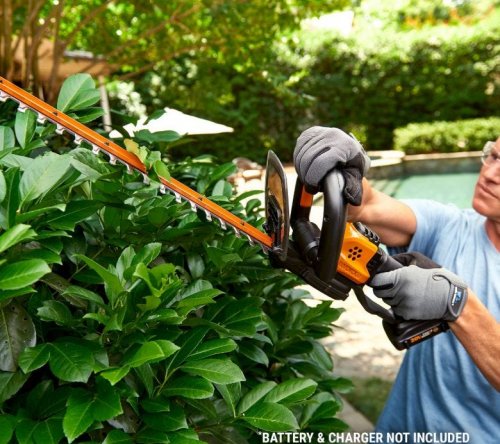 Worx WG261E Ψαλίδι Μπορντούρας Μπαταρίας 20V 9