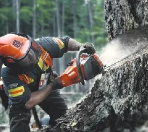Husqvarna 550 XP® Mark II Αλυσοπρίονο Βενζίνης 45cm 23