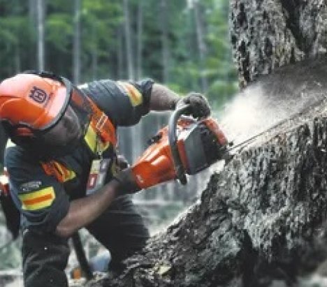 Husqvarna 550 XP® Mark II Αλυσοπρίονο Βενζίνης 45cm 23