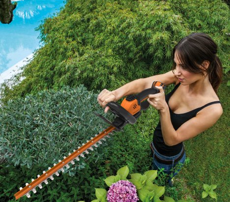 Worx WG261E Ψαλίδι Μπορντούρας Μπαταρίας 20V 7
