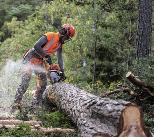 Husqvarna 550 XP® Mark II Αλυσοπρίονο Βενζίνης 45cm 6