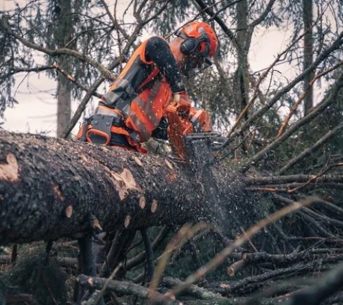 Husqvarna 585 Αλυσοπρίονο Βενζίνης 60cm 2
