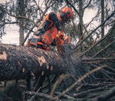 Husqvarna 585 Αλυσοπρίονο Βενζίνης 60cm 2