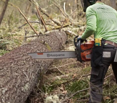 Husqvarna 585 Αλυσοπρίονο Βενζίνης 60cm 3