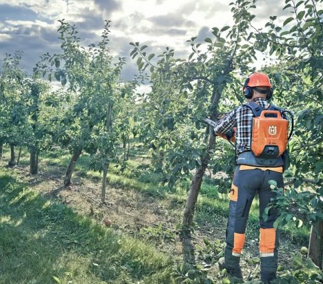 Husqvarna 535i XP® Cordless chainsaw 35cm 36V 3