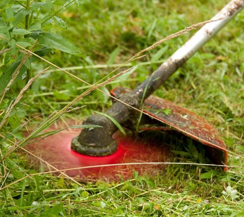 Oregon 295496-0 One For All 3T 255mm x 3mm Grass Blade 4