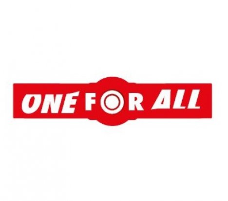 Oregon 295496-0 One For All 3T 255mm x 3mm Grass Blade 6