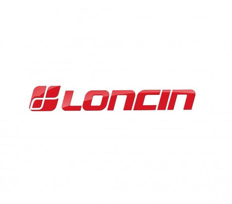 Loncin 661560001-0001 Clip pin D8X45 3