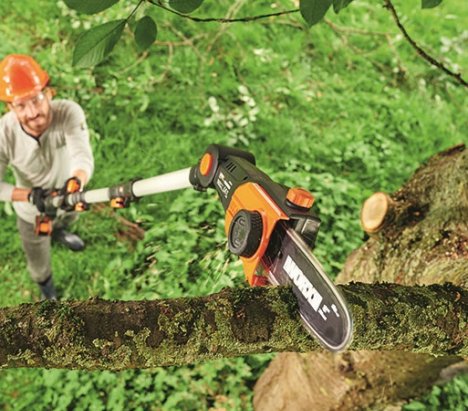Worx WG349E Cordless Pole Saw 20cm 20V 13