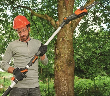 Worx WG349E Cordless Pole Saw 20cm 20V 14