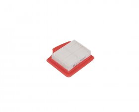 Emak 56550208R Air Filter