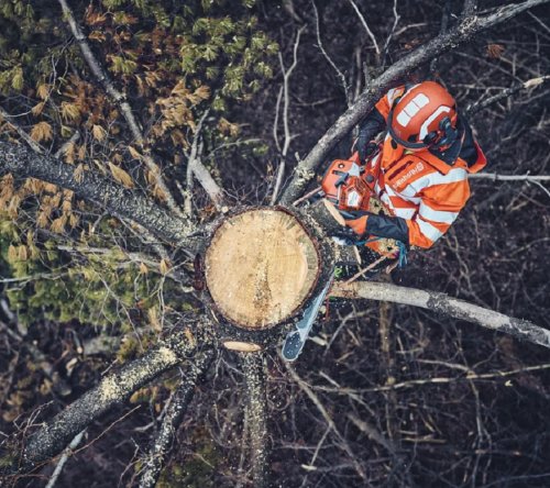 Husqvarna 562 XP® Mark II Αλυσοπρίονο Βενζίνης 45cm 4