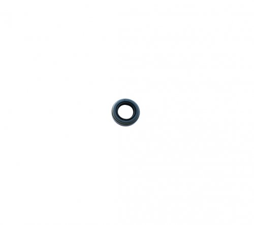 Emak 094000099R Τσιμούχα 12X20X5B1SL 1