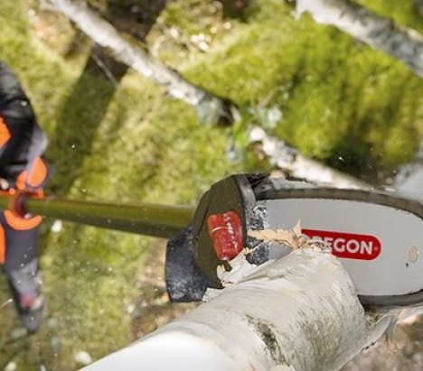 Oregon PS250 Κονταροαλυσοπρίονο μπαταρίας 20cm 36V 6