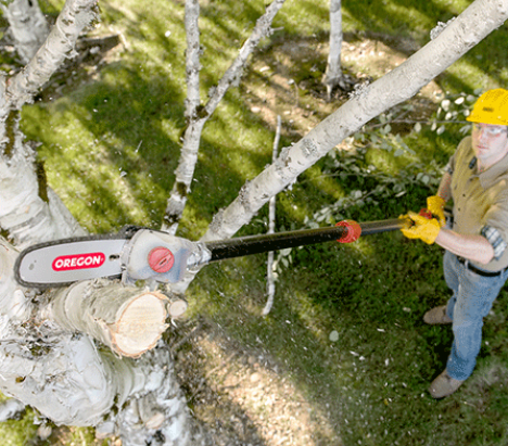 Oregon PS250 Κονταροαλυσοπρίονο μπαταρίας 20cm 36V 5