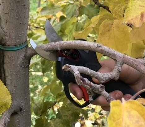 Zanon ZM 25 Ψαλίδι Κλαδέματος Μπαταρίας 16.8V 5