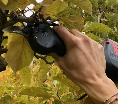 Zanon ZM 25 Ψαλίδι Κλαδέματος Μπαταρίας 16.8V 4