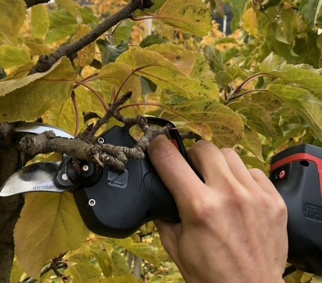 Zanon ZM 25 Ψαλίδι Κλαδέματος Μπαταρίας 16.8V 3