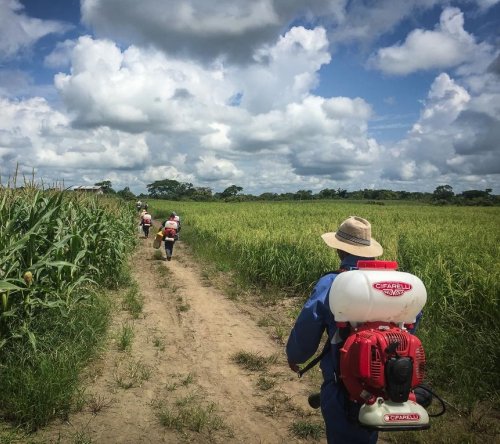 Cifarelli M 1200 EU Νεφελοψεκαστήρας Βενζίνης 8